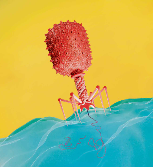 Phage_Getty